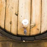 Venkovský dům La Malvasia Arico Viejo