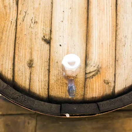 Casa di campagna La Malvasia Arico Viejo