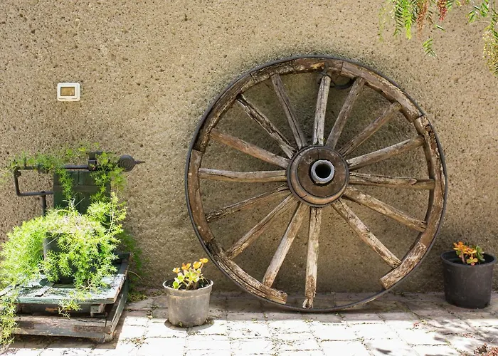 Летний дом La Malvasia *