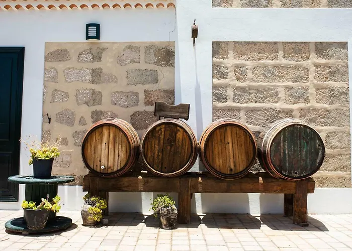 La Malvasia * Arico Viejo