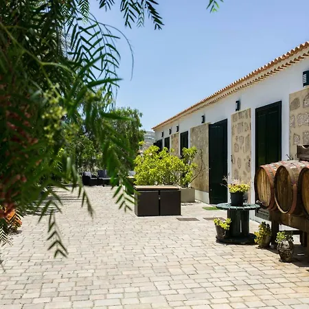 La Malvasia